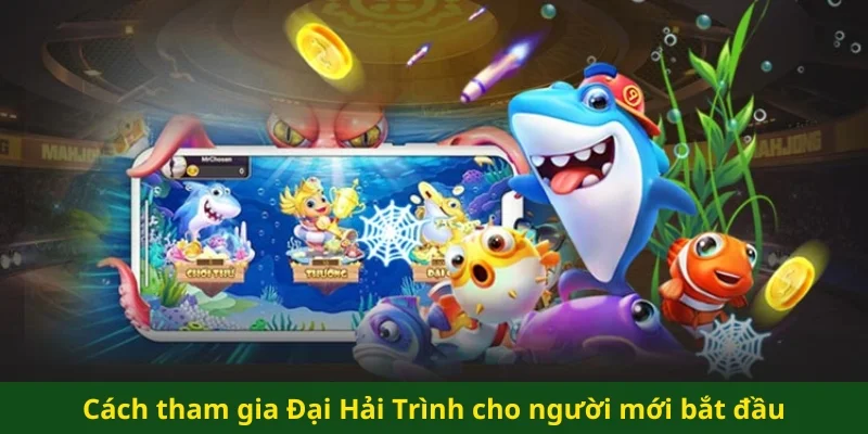 Cách tham gia Đại Hải Trình cho người mới bắt đầu