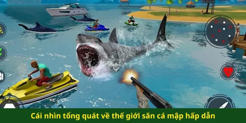 Cái nhìn tổng quát về thế giới săn cá mập hấp dẫn