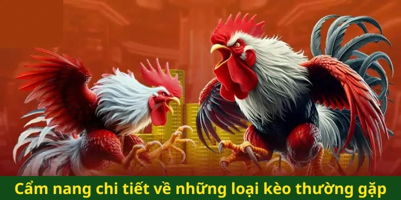 Cẩm nang chi tiết về những loại kèo thường gặp