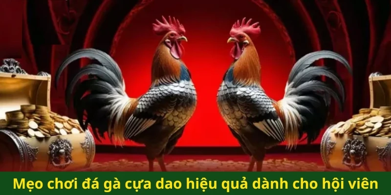 Mẹo chơi đá gà cựa dao hiệu quả dành cho hội viên